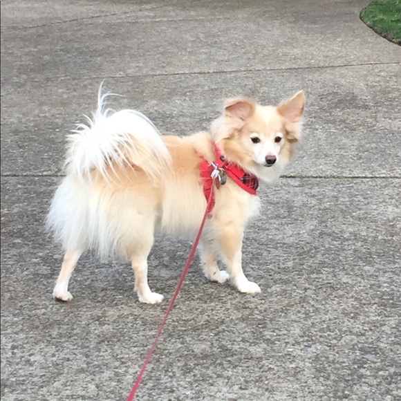 Meet your Posher, Erin 💕💕💕 - Picture 3 of 5